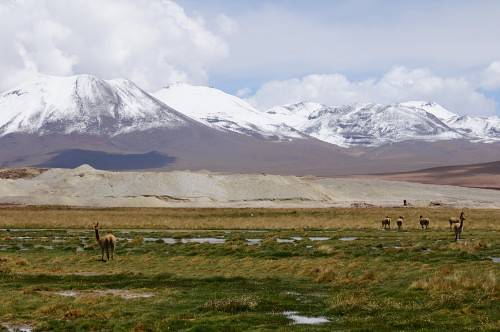 Altiplano